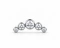 Cluster de 5 circones Titanio ASTM F136